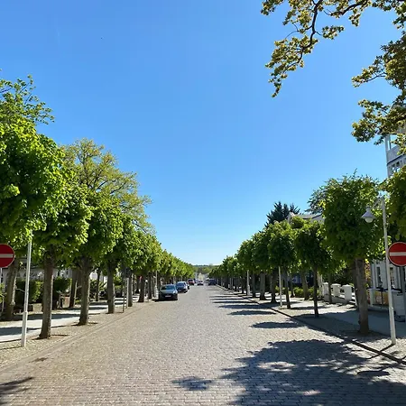 Baltic Sun W6 In Der Sonneck